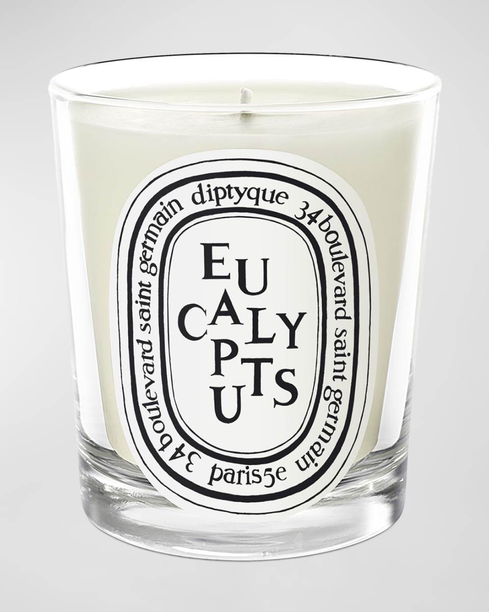 Eucalyptus Scented Candle, 6.5 oz.
